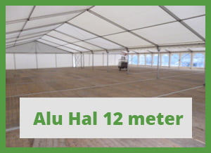 12 mt